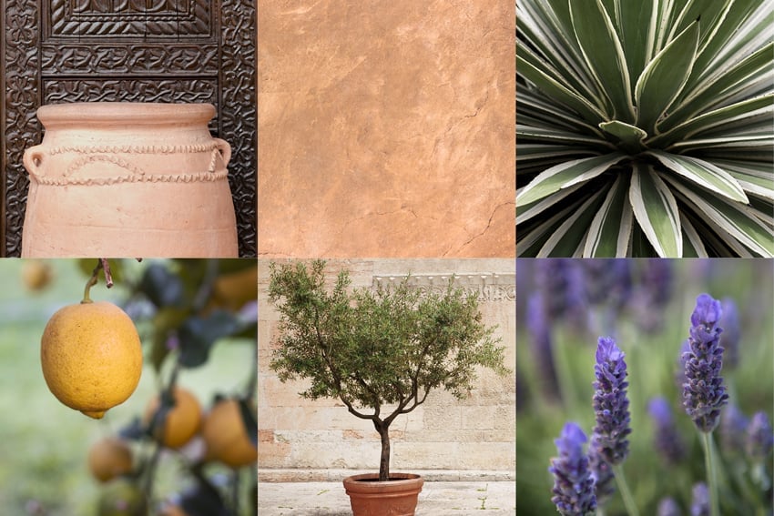 mediterrane tuin