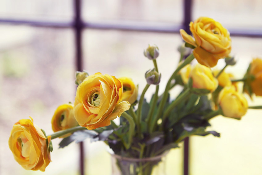 accessoires bloemen/>
<h3>9. Accessoires</h3>
<blockquote>Kies pas als allerlaatste de accessoires uit. </blockquote>
<p>Accessoires zijn het toetje van het inrichten van je huis en toetjes komen pas aan het einde van de maaltijd. Ja, het is lastig om zo lang te wachten met wat eigenlijk het allerleukste is. Maar pas als de muren zijn geschilderd, de gordijnen hangen en de meubels op de perfecte plek staan, kun je echt zien welke accessoires waar nodig zijn. </p>
<h3>10. Thuisgevoel</h3>
<blockquote>Nodig je familie en vrienden uit voor een